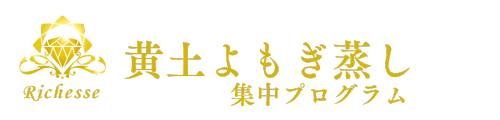 美意識革命 集中プログラム メンバーサイト